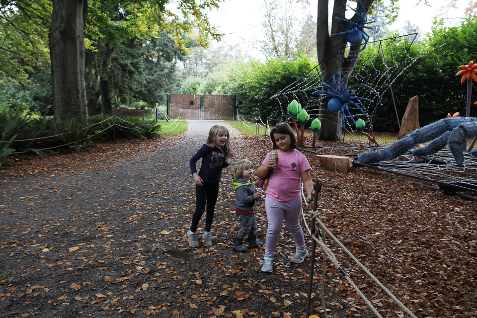 Woodland Park Zoo — photo 40